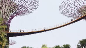 asiabridge.jpg