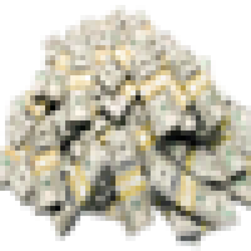 cash50.png