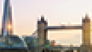 shard