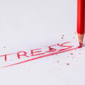 stress2.jpg