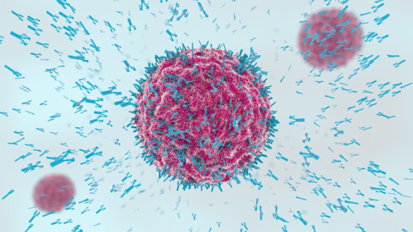 antibodies.jpg