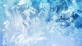 frozen