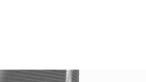 enron-feb02.gif