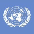 UN flag large
