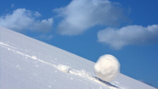 snowball