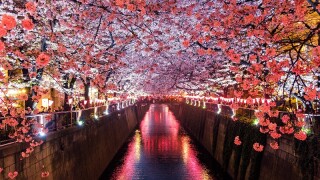 japan-2.jpg