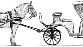 horse.jpg