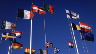 eu flags large