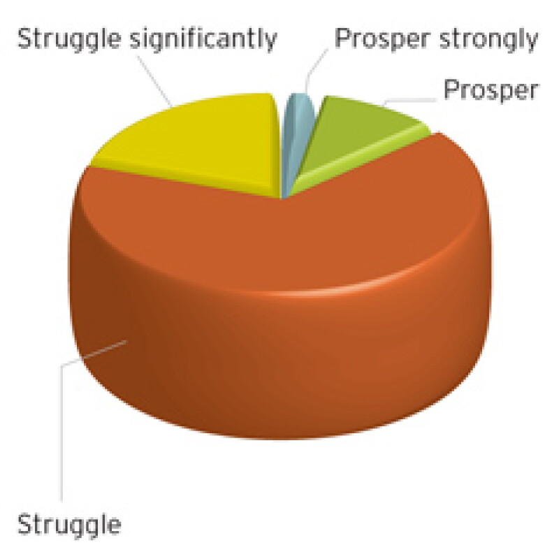 survey2.jpg