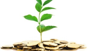 seedling1.jpg