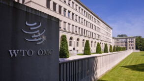 wto.jpeg