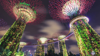 singapore 4
