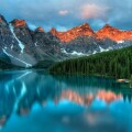 alberta large