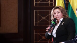 Olena Orliuk.JPG