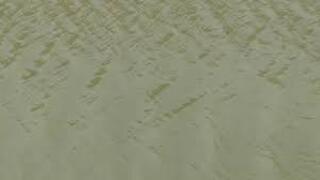 Murky waters