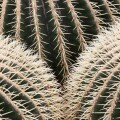 Mexico's digital VAT will be a prickly issue for multinationals