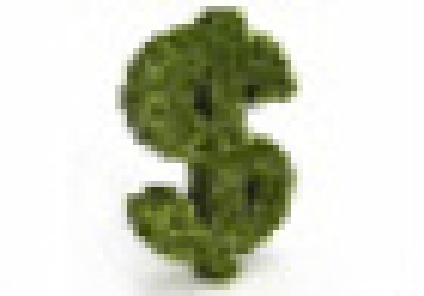 green2.jpg