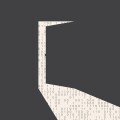 The malware opens a backdoor into the company's network