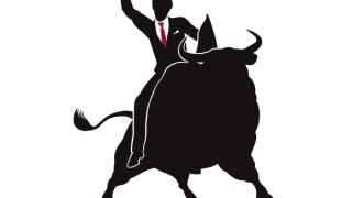 bull.jpg