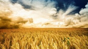 agriculture.jpg