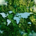 A lake in the shape of the world's continents in the middle of u