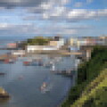 harbour-puff.jpg