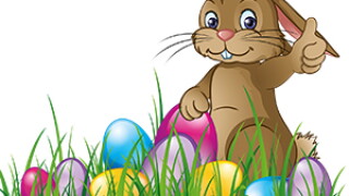 bunny