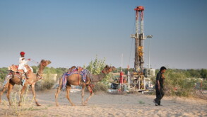 camels.jpg