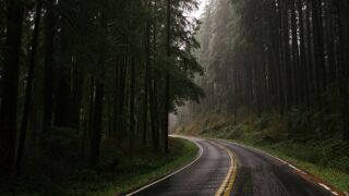 road.jpg