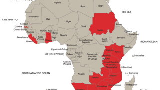 africa2.jpg