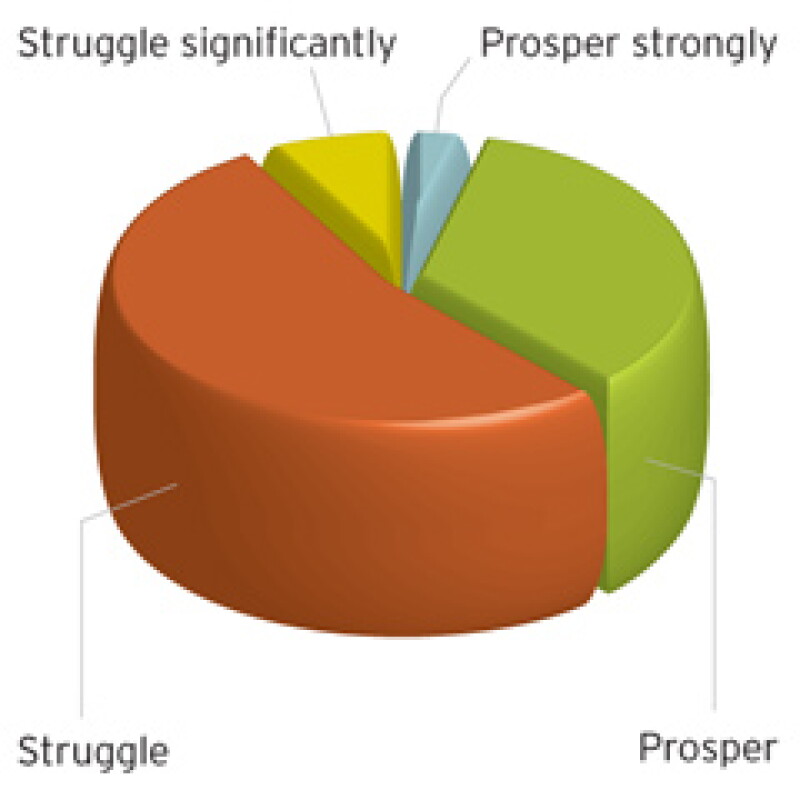 survey1.jpg