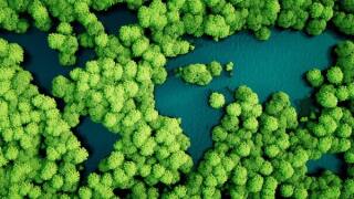 green-ip-min.jpeg