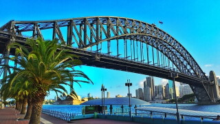 sydney large