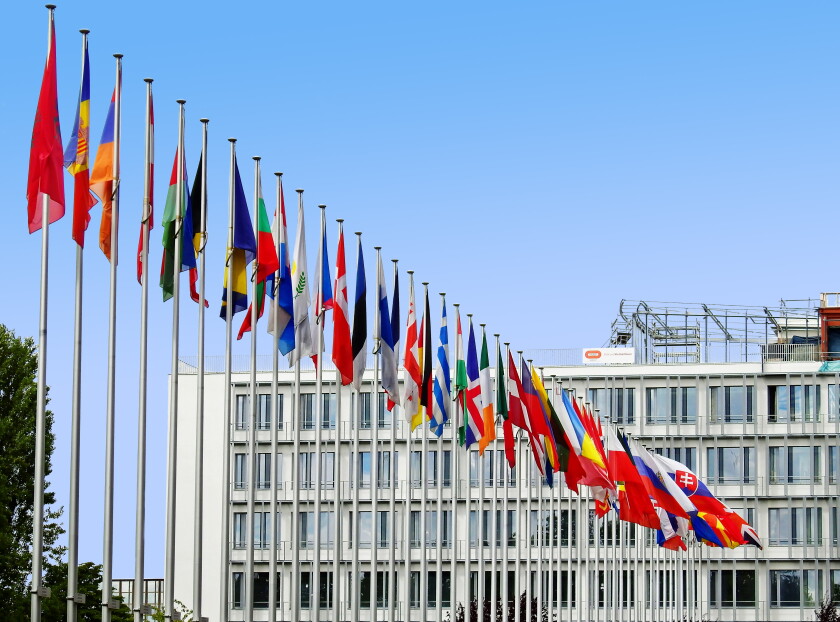EU flags