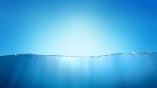 liquidity