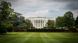 white house green