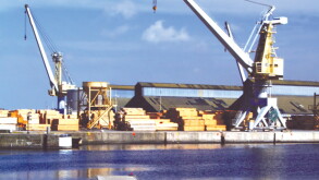 crane.jpg