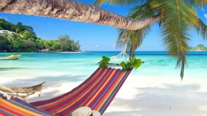 hammock