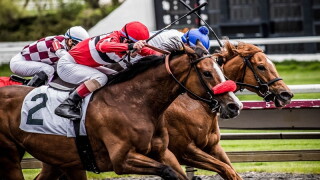horseraceCSR