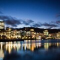 NZ large