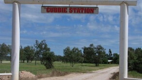 cubbie1.jpg