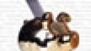 cover-puff.jpg