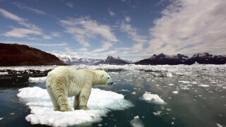 climate change