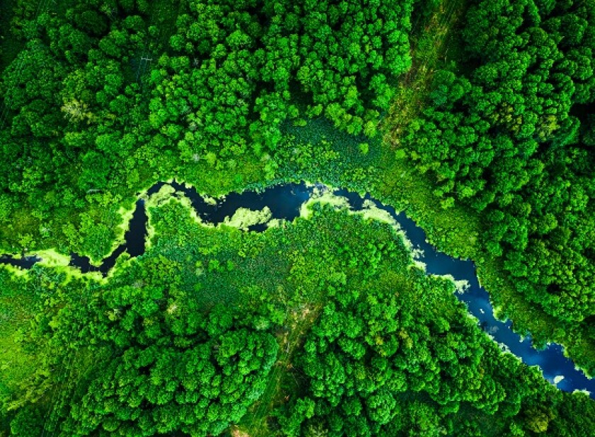 green