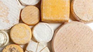cheese-600.jpg