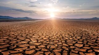 dried river.jpeg