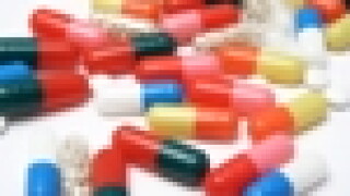 apil1.jpg