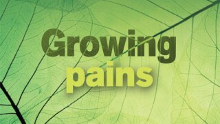 cover-600.jpg