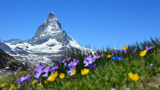 Cover image.jpg
