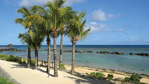 paradise.jpg
